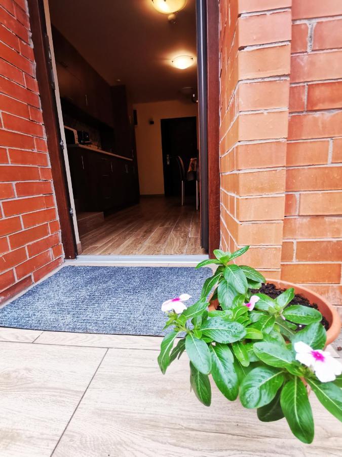 Cazare Timisoara T90 Timişoara Exterior foto